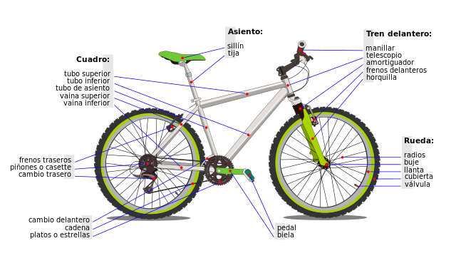 Bicicleta, ciclismo