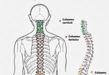 ¿Qué es la cirugía percutánea de columna ? cirugía percutánea. columna