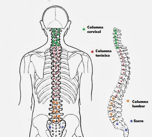 cirugía percutánea. columna