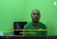 Zoonosis: Cuáles son y cómo nos afectan zoonosis