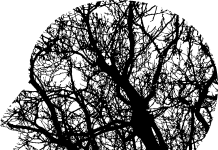 Rehabilitación e Integración para la salud mental salud mental