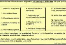 Asem, por las personas con enfermedades neuromusculares