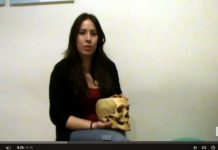 ¿Tengo una disfunción de la ATM? disfunción de la ATM