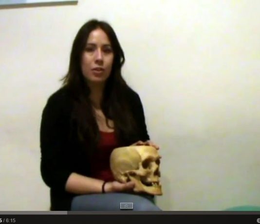 ¿Tengo una disfunción de la ATM? disfunción de la ATM