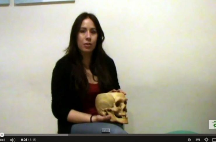 disfunción de la ATM