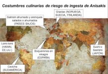 Anisakis, causas, síntomas y recomendaciones