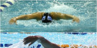 Collage estilos de natacion