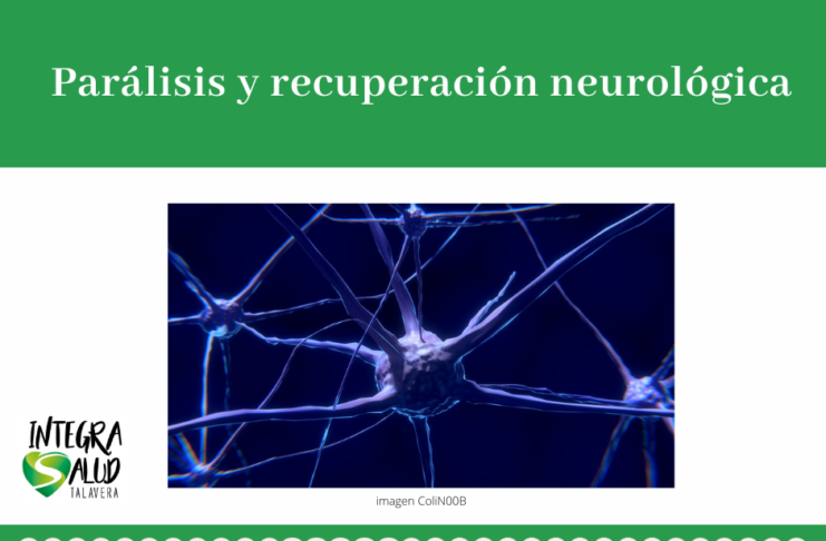 Parálisis y recuperación neurológica parálisis y recuperación neurológica