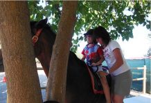 Terapia con caballos