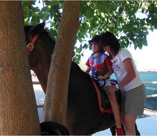 Terapia con caballos