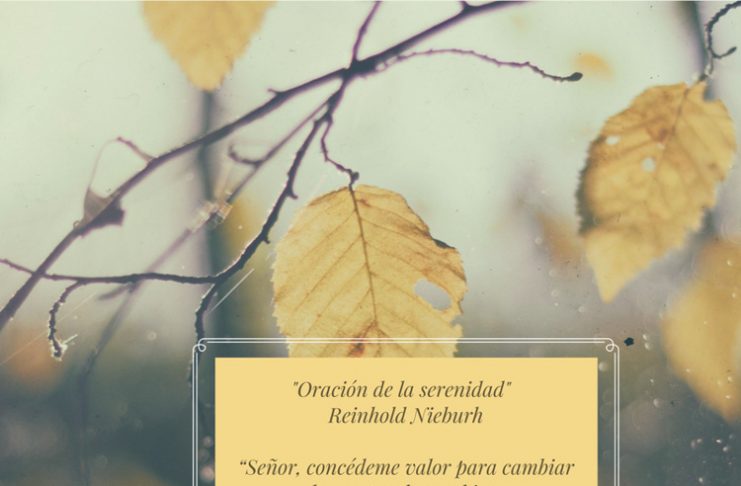Mindfulness