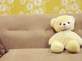 Peluche sobre sofá
