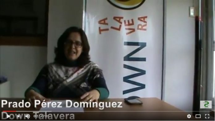 Balance 2016 Asociación Down Talavera Balance 2016 Asociación Down Talavera
