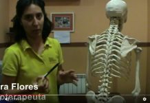 Escoliosis, síntomas y tratamiento Qué es la escoliosis