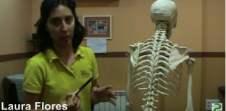 Qué es la escoliosis