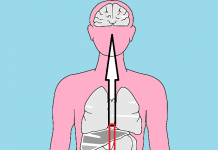 La acupuntura ayuda a curar la diarrea Diarrea funcional, síndrome del intestino irritable