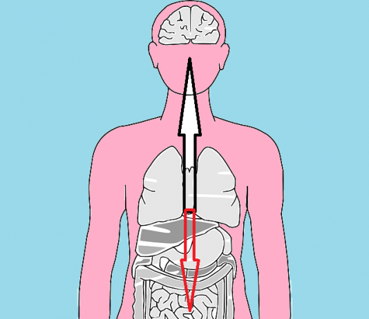 Diarrea funcional, síndrome del intestino irritable