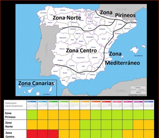 Alergia al polen de cupresáceas, cipreses y arizónicas.