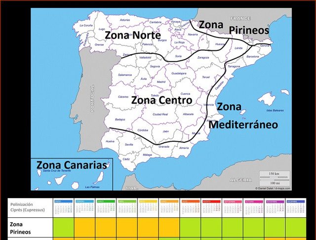 Alergia al polen Alergia al polen de cupresáceas, cipreses y arizónicas.