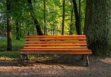 ¿A qué polen le tengo alergia? ¿A qué polen le tienes alergia?