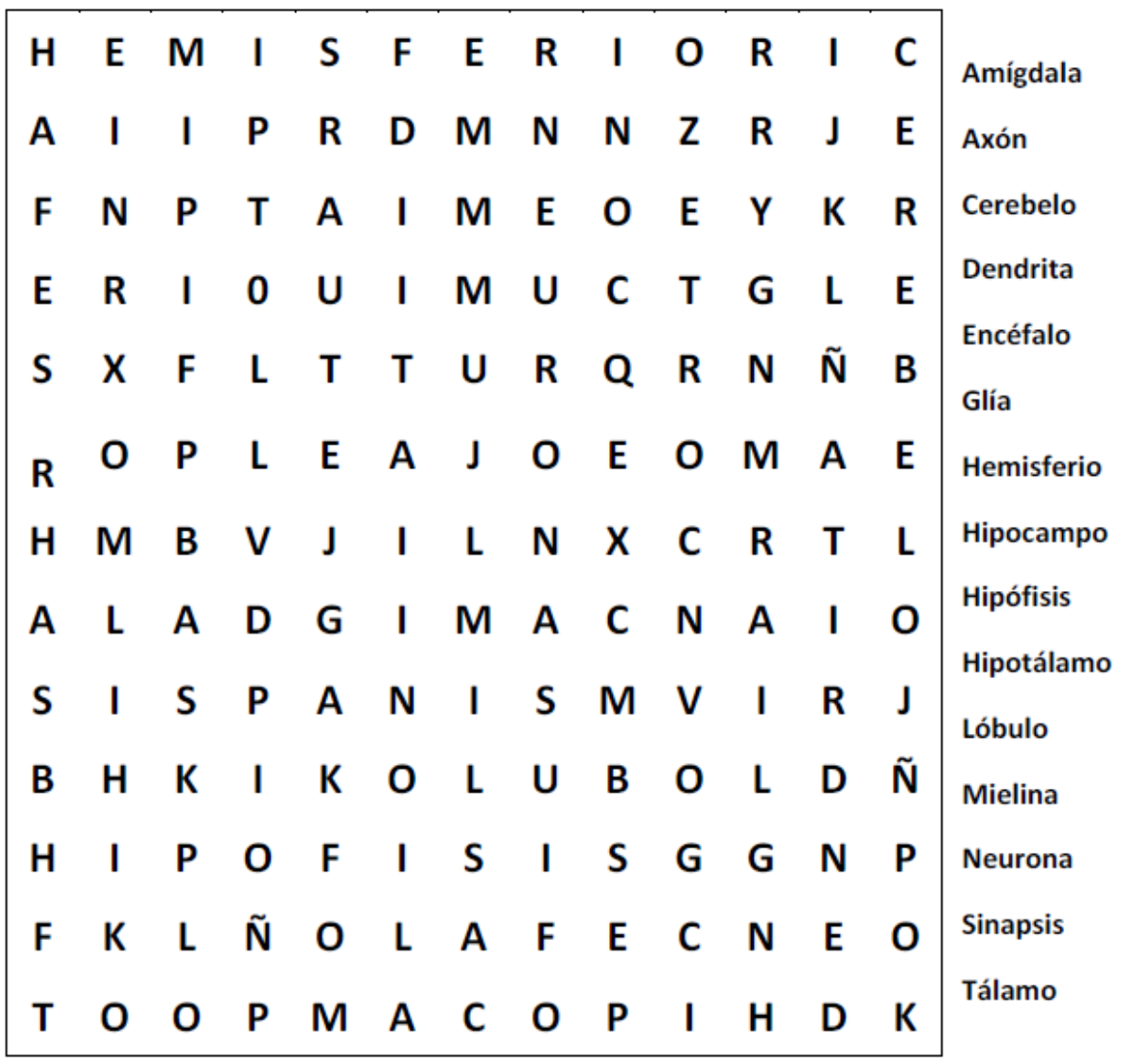 Sopa De Letras Para Alumnos De 5º Grado