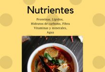 ¿Qué comer para cubrir nuestras necesidades? necesidades nutrientes