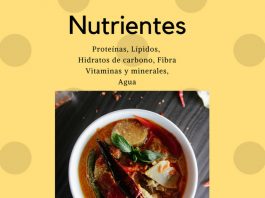 necesidades nutrientes