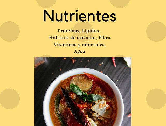 necesidades nutrientes