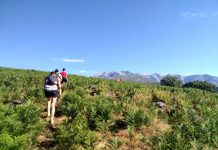 ¿Cuáles son las lesiones más comunes en el Trail Running? trail running