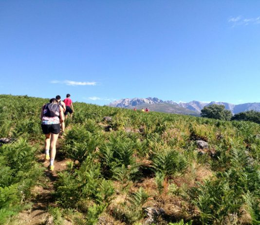 trail running