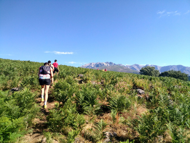 ¿Cuáles son las lesiones más comunes en el Trail Running? trail running