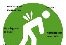 Lumbago: causas, tratamientos y prevención del dolor lumbar Prevenir dolor lumbar, prevención del lumbago