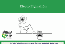 Efecto Pigmalión efecto Pigmalión