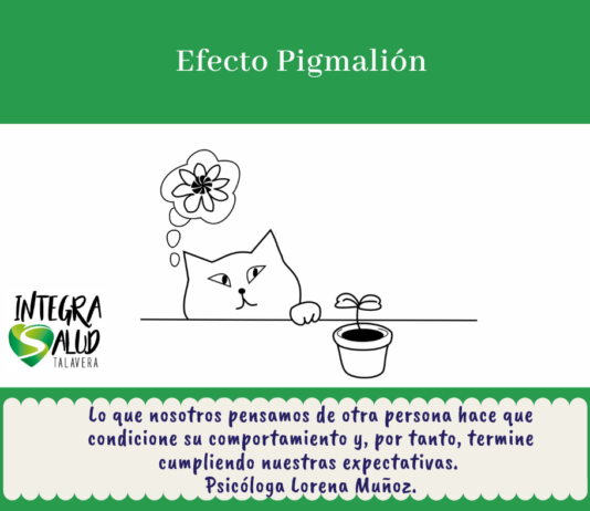 Efecto Pigmalión efecto Pigmalión