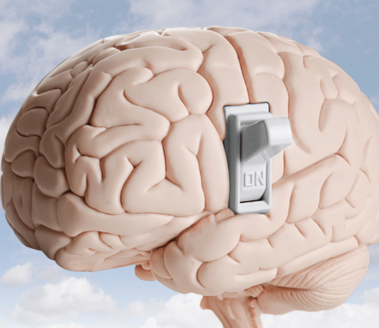 En qué parte de nuestro cerebro se encuentra la imaginación En donde encontramos la imaginacion en nuestro cerebro